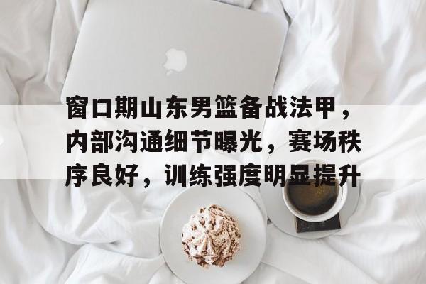 开云app下载-山东男篮引进外援